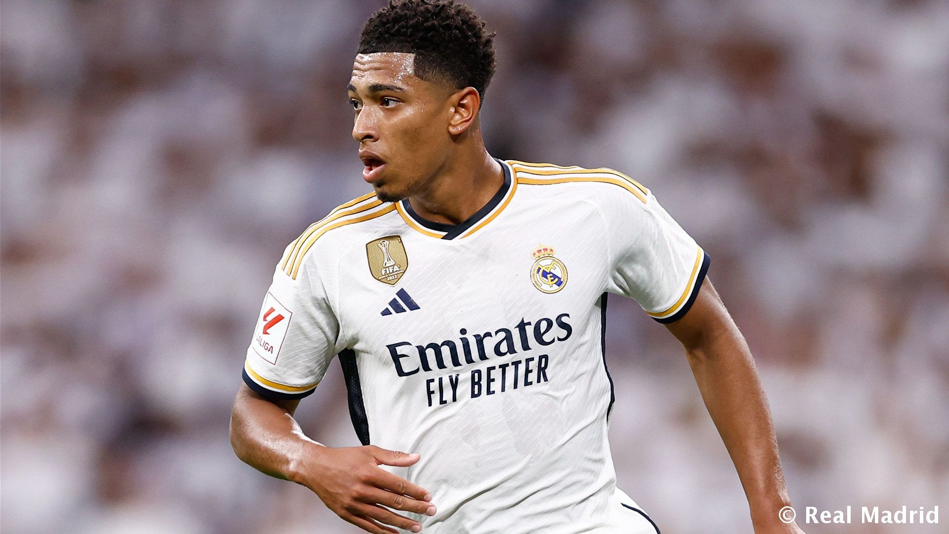 热议中超争冠：争冠悬念基本不在；申花没朋友拿不了冠军