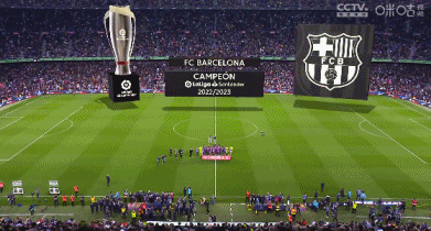 里程碑，张琳芃俱乐部赛事已出战500场